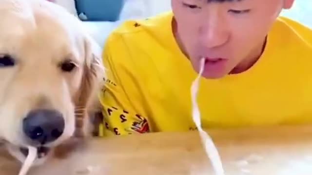 Funniest Cats And Dogs Video 🤣🐶 😻 - Part 1