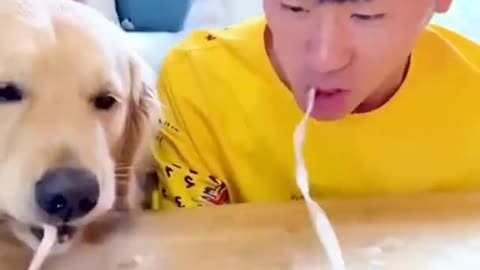 Funniest Cats And Dogs Video 🤣🐶 😻 - Part 1