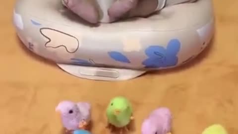 Funny baby video