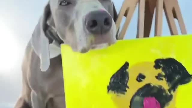 A dog draws on the board in an amazing way