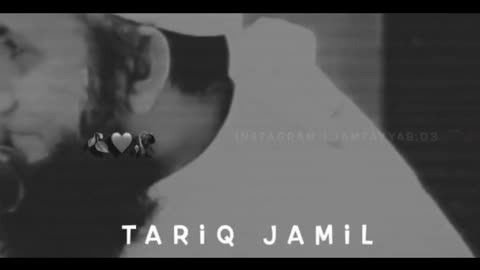 Molana Tariq Jameel Motivational Status