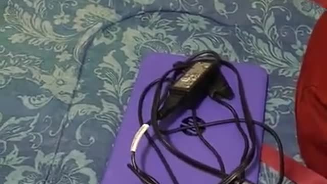 How to Live on Campus All Day