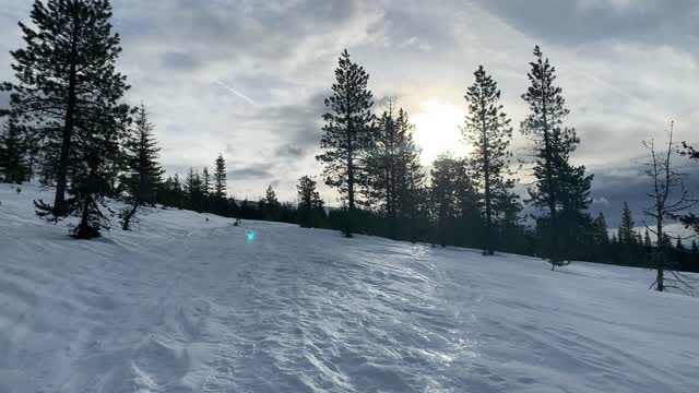 Rejuvenating Mountain Hike – Potato Hill Sno-Park – Central Oregon – 4K