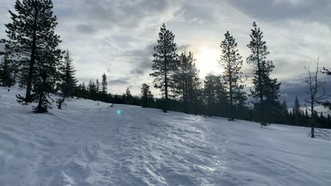 Rejuvenating Mountain Hike – Potato Hill Sno-Park – Central Oregon – 4K