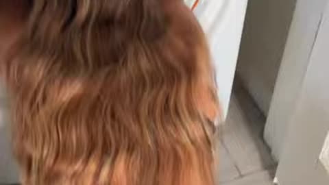 Would you help me. #funnyshorts #funny #humor