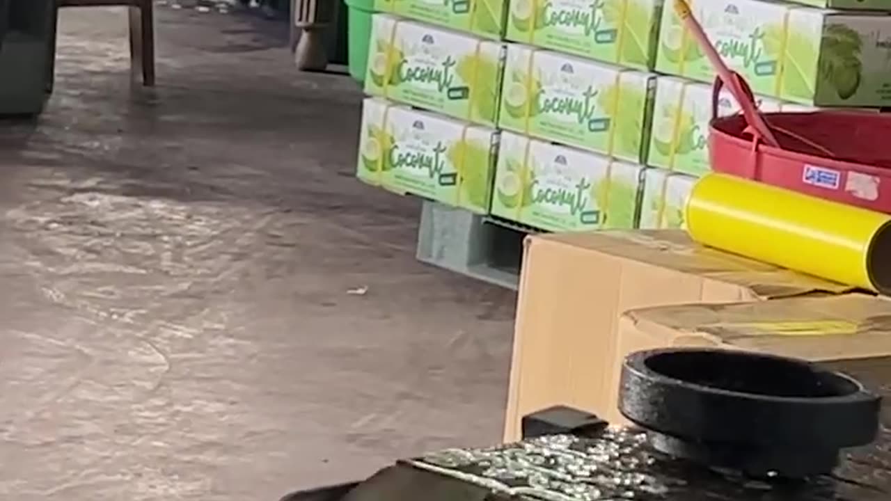 Amazing Coconut Packing Process! Big Scale Coconut Factory, Thailand