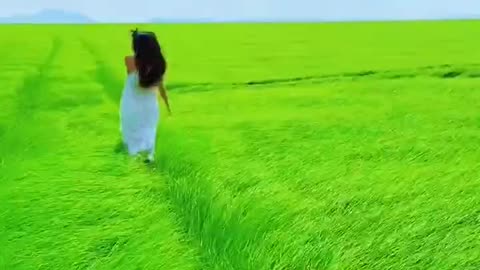 Beautiful green landscape