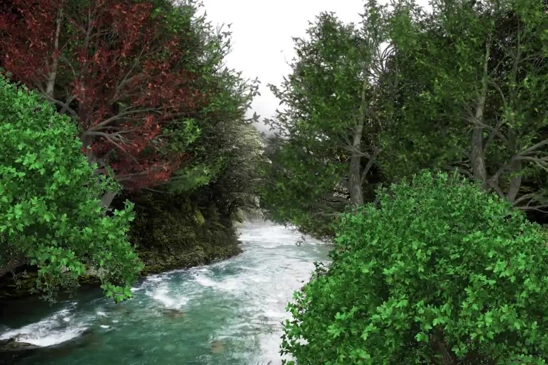 Relax Library: Video 47.Fast Moving River . Relaxing videos and sounds