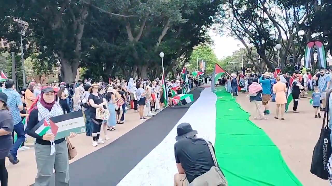 What can I do to help Palestine?
