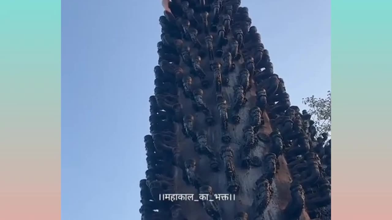 Best funny video's