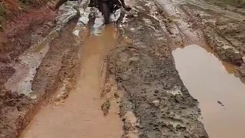 Biker Skillfully Drives Passengers Through Muddy Road