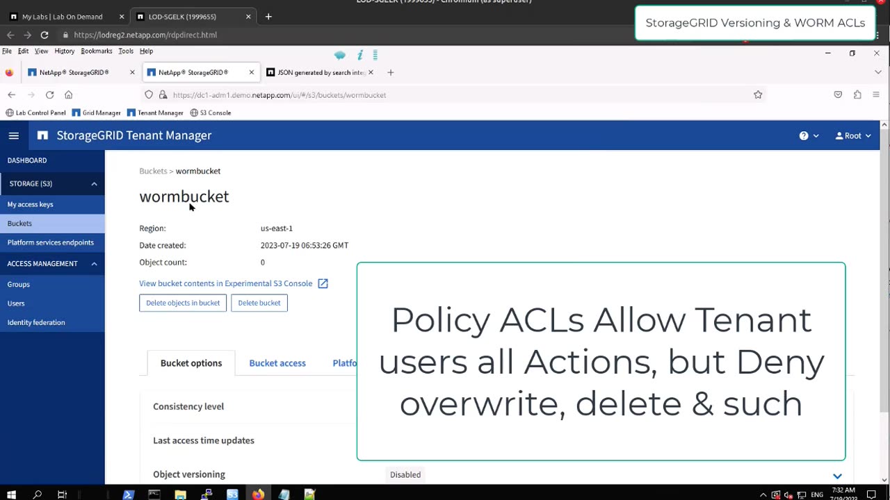 How versioning and WORM-like ACLs work on NetApp StorageGRID
