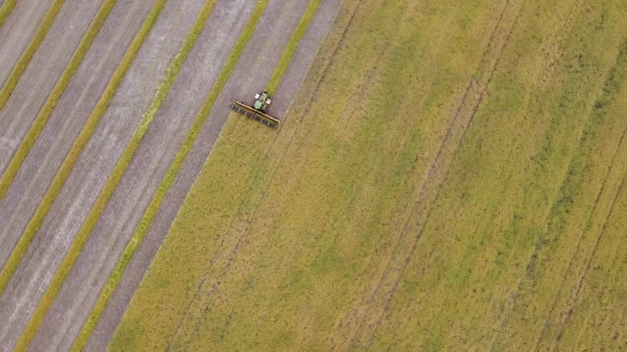 2021 Cropping Season