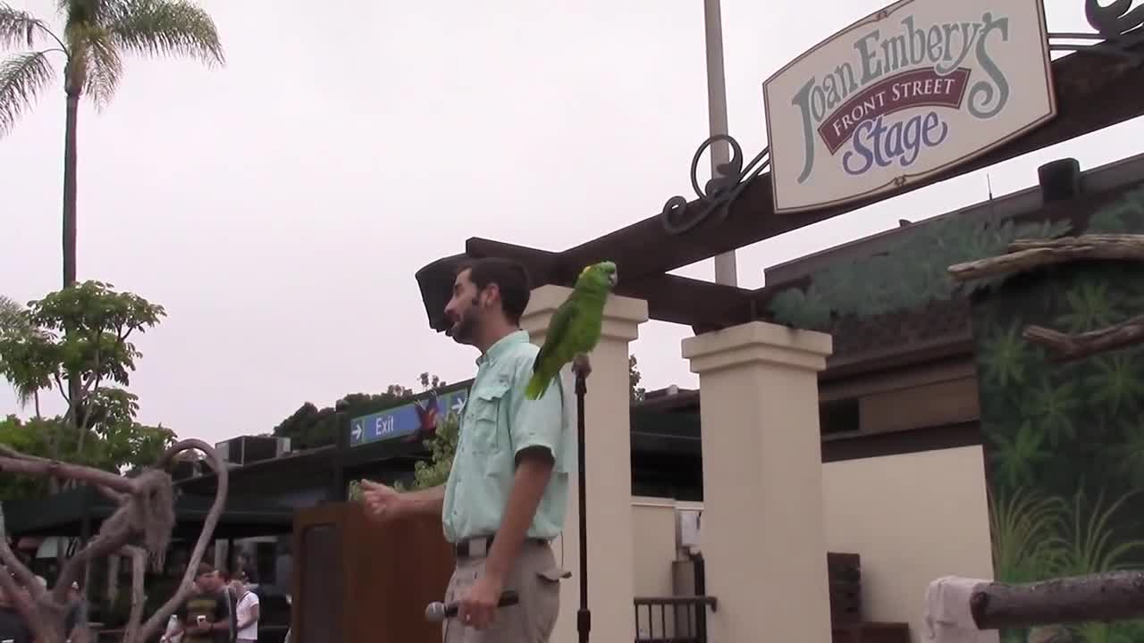 Parrot Talking Zoo Visits_p20
