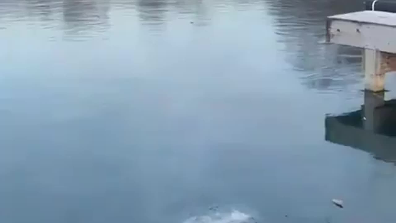 Firework In Frozen Lake