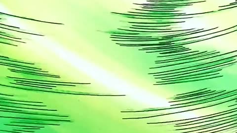 DRAGON BALL 06x10 El último Ma-Fuu-Ba del maestro Roshi