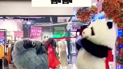 cute panda 😍 funny Gorilla video