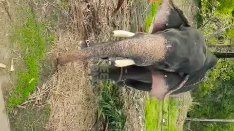 മനോജും ഉമാമഹേശ്വരനും