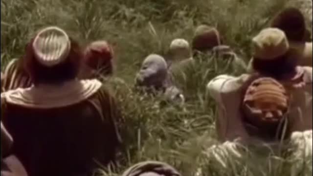 God teaches us everything we need!