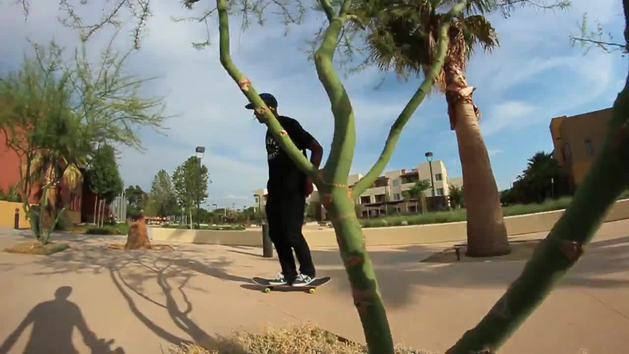 Skateboarding in california