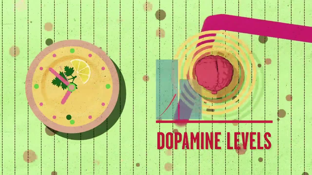 How Sugar Affect the Brain? | TED Ed World