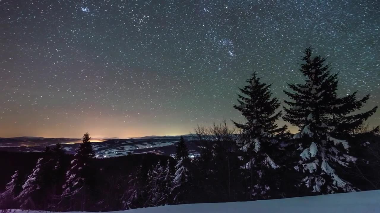 starry sky during winter Forest Copyright Free Videos Royalty Free Stock Videos