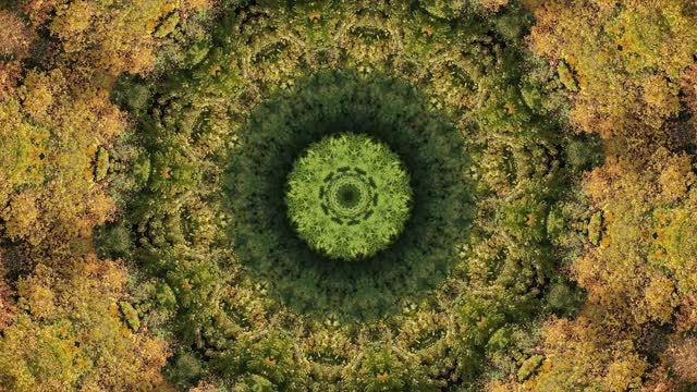 Relaxing video 2022