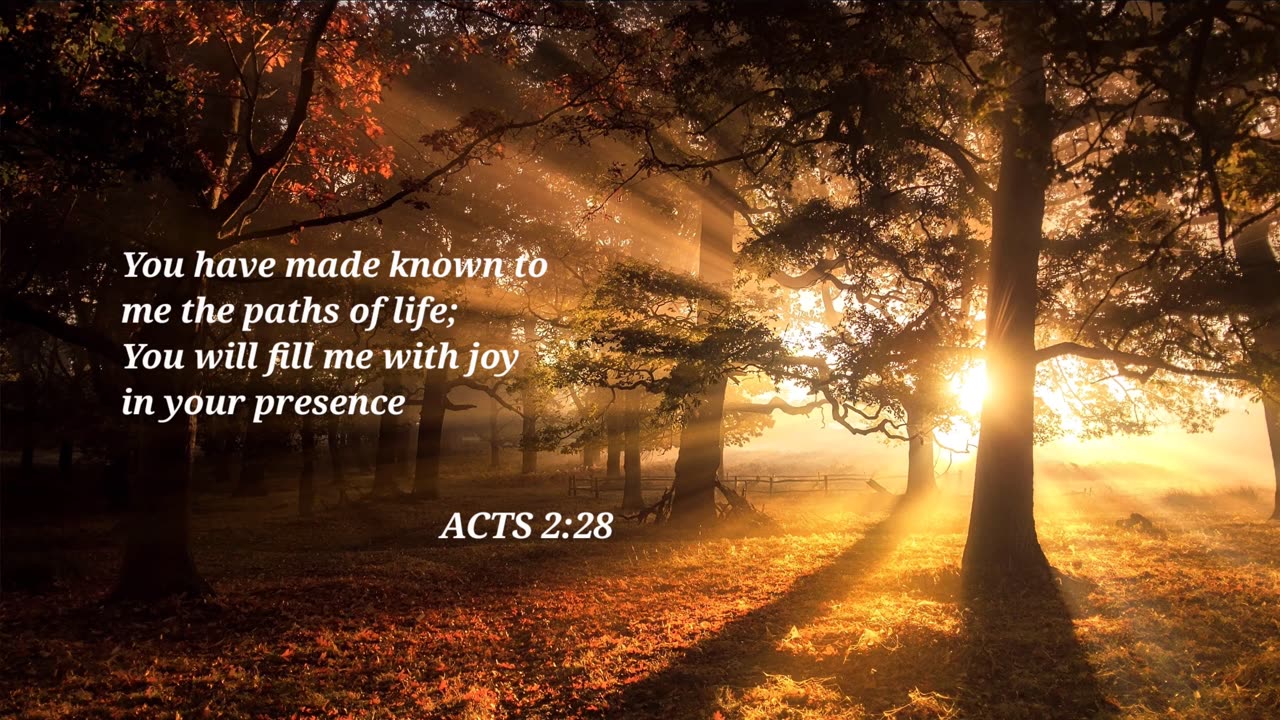 ACTS 2:28