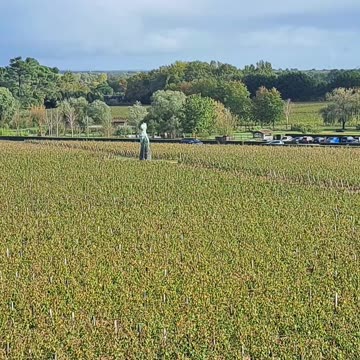 Château Smith Haut Lafitte Winery Tour Introduction Pt.3 #luxurylifestyle #winetasting #wine