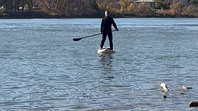 Gas Prices Even Have Michael Myers Using a Paddleboard