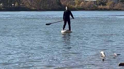 Gas Prices Even Have Michael Myers Using a Paddleboard