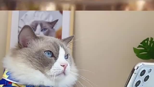 Another day, another fall.