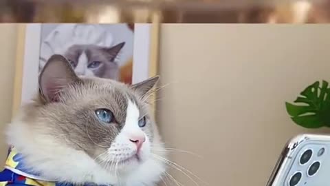 Another day, another fall.