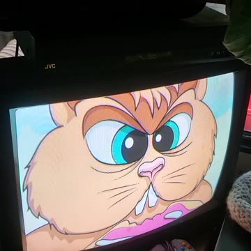 My cats watching a show where dogs were learning how hamsters are good pets