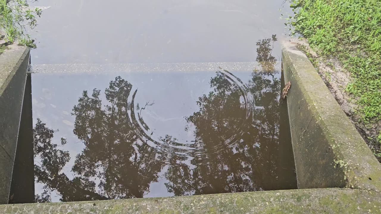 Ripples in Reflections