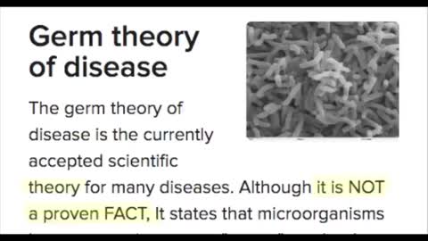 The Big Virus Hoax - What Is a Virus (5/6/2021)