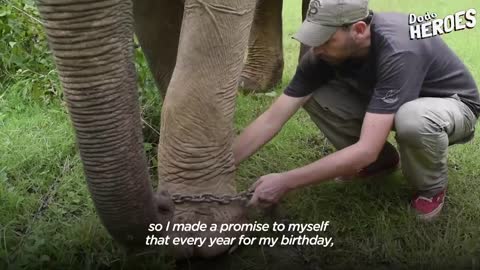 Guy Frees Elephant After 50 Years In Chains | The Dodo Heroes