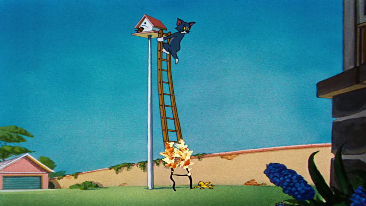 MGM Cartoons - 1952x01 - The Flying Cat