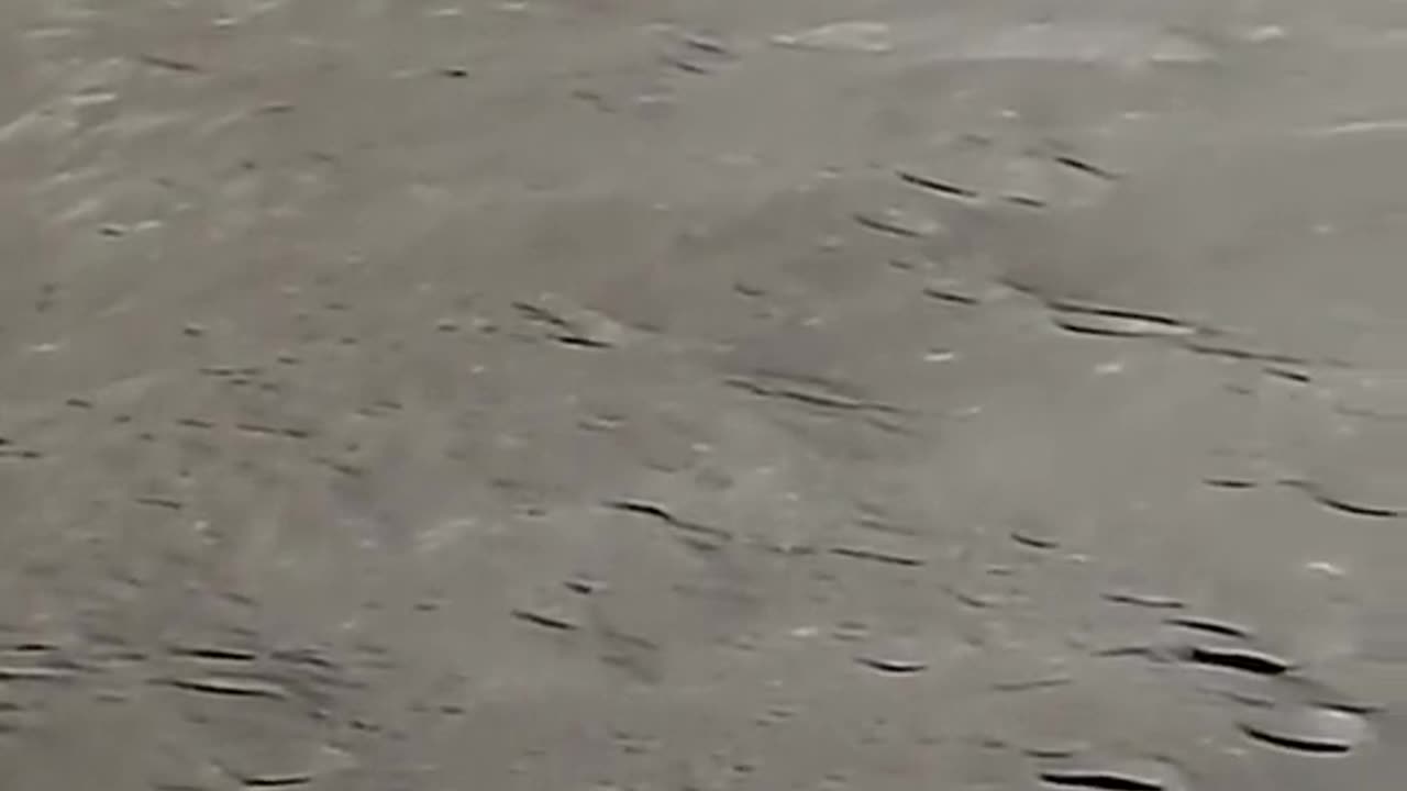 Nasa on Moon