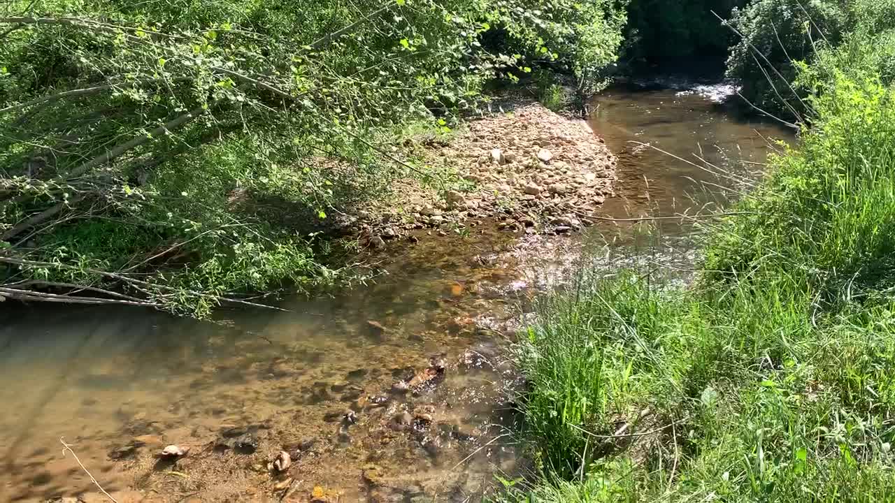 More Creek Therapy on the Farm!