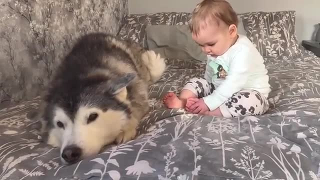 Baby & Husky Wake Up in The Cutest Way!! Baby Asks For Kisses!ðŸ˜.