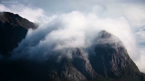 Magnificent Mountains, Forests