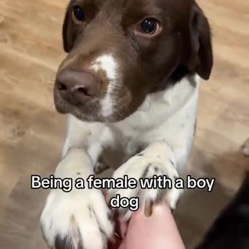 "When you're the only girl in a house full of boys 😂🐶