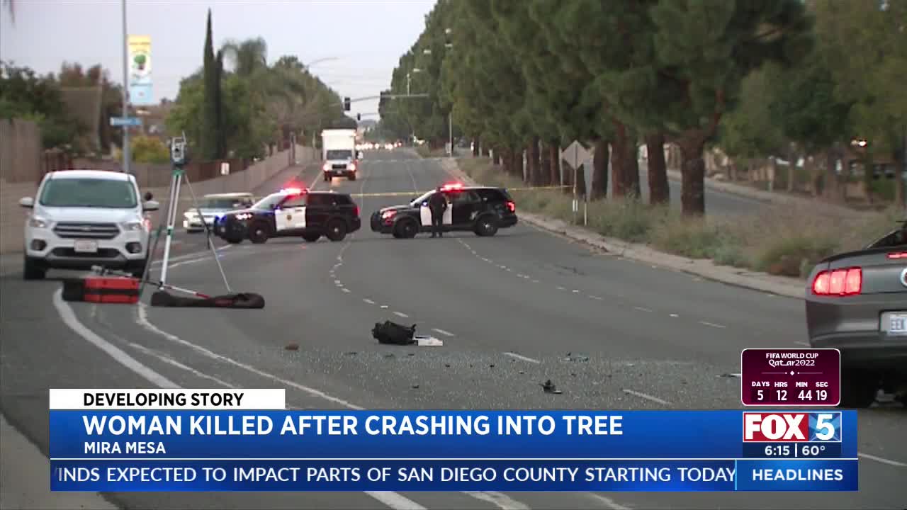 Woman Killed After Crashing Into Tree