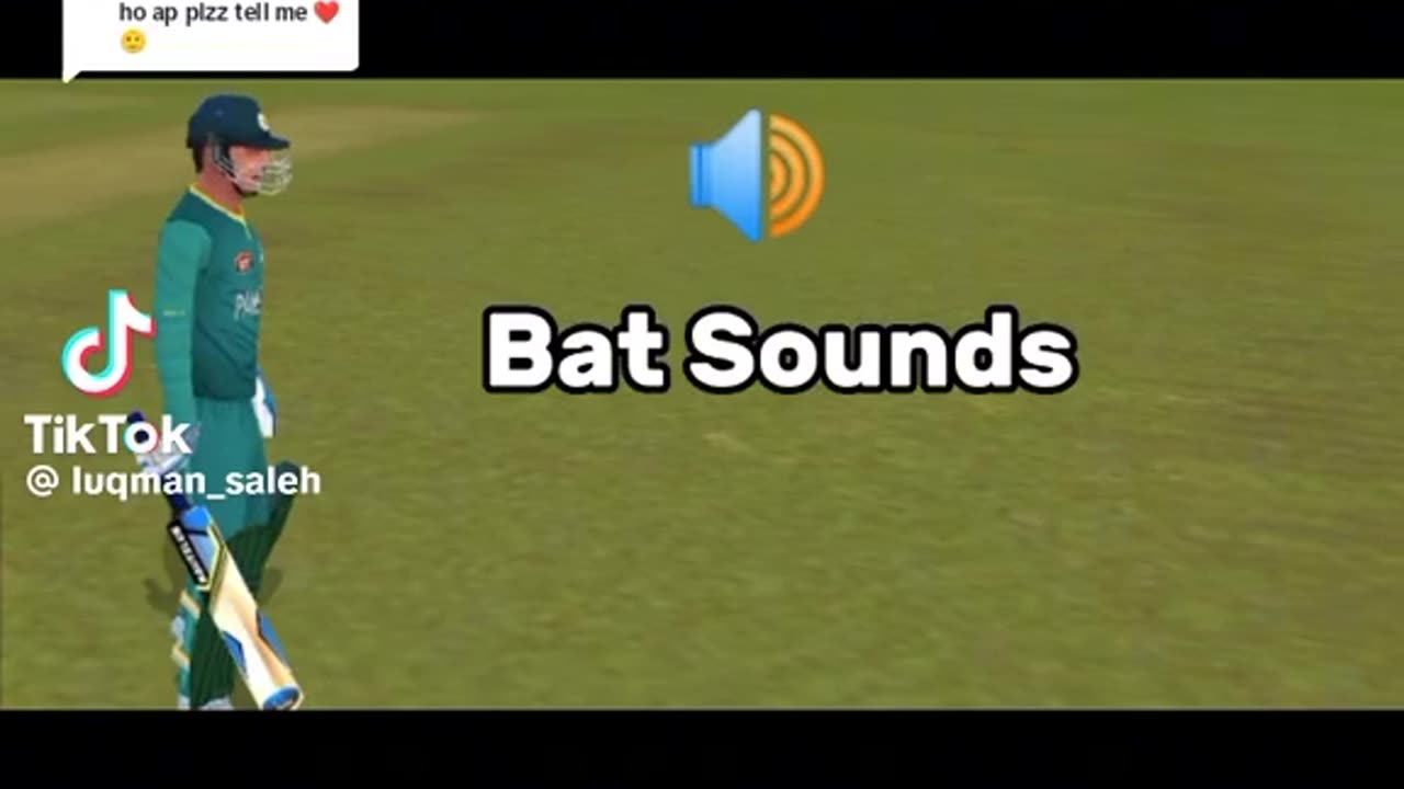 Ceicket Bat sounds