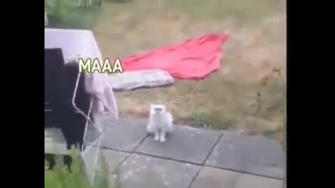 Hmmmm