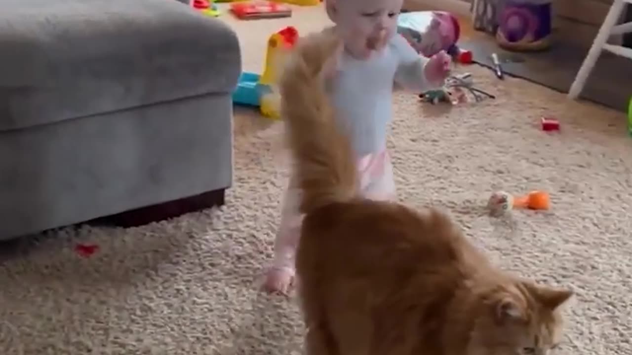 Adorable fluffy 😍😍😍😍cat helps baby 🍼🍼🍼🍼