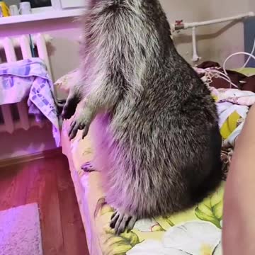 Congratulations are flying from all over the world!