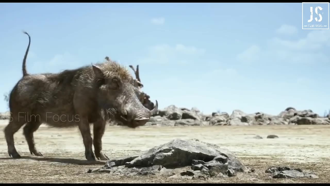 Timon&Pumba find simba