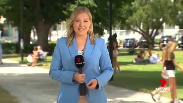 They know you are all stupid turn off your TV